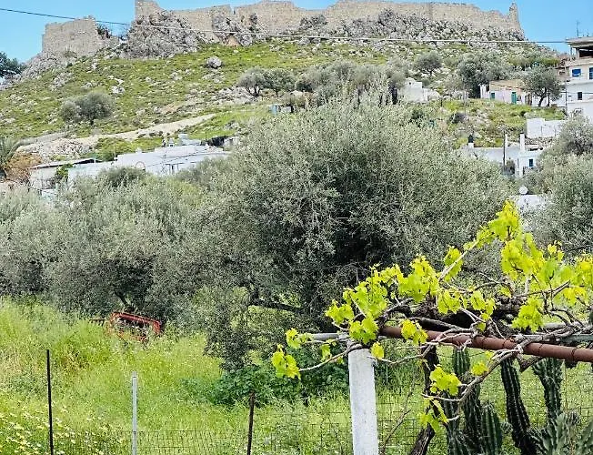 Cute & Sweet Daire *